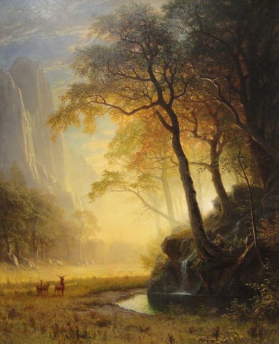 Hetch Hetchy Canyon by Albert Bierstadt